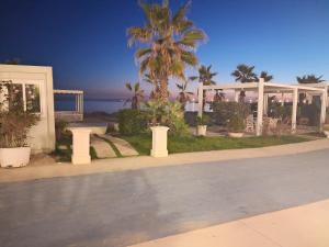 a house with a palm tree and the ocean at holiday house in Durrës