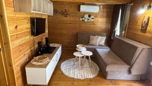 a small living room with a couch and a table at Virpazar Oaza in Virpazar