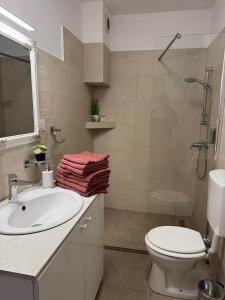 a bathroom with a sink and a shower and a toilet at Casa Elena, Ocna Mureș in Ocna-Mureşului +4 photos