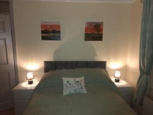 a bedroom with a green bed with two lamps at Gweedore Seaview Cottage in Bun na Leaca