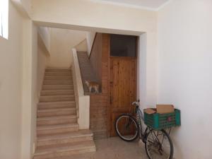 a cat sitting on the stairs next to a door with a bike at Heidi's House in Dahab