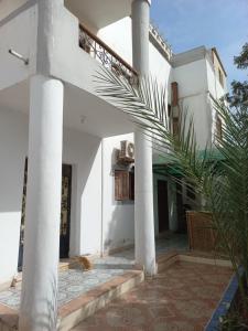 a white building with columns and a palm tree at Heidi's House in Dahab