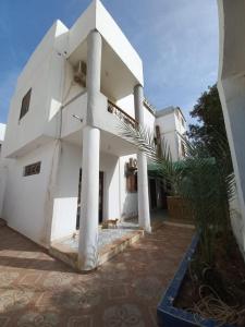 a white building with a palm tree in front of it at Heidi's House in Dahab +8 photos