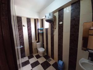 a bathroom with a toilet and a shower and a sink at Heidi's House in Dahab