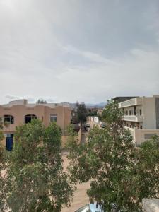 a group of buildings with trees in the foreground at Heidi's House in Dahab