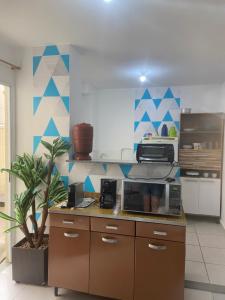 a kitchen with a counter with a microwave and a plant at Apto térreo, próx ao Centro, Sesi, Bioethicus, fácil acesso à Unesp in Botucatu