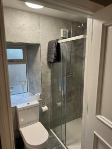 a bathroom with a toilet and a glass shower at Shrule Cosy Nest in Shruthair +9 photos