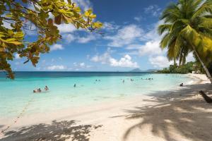 a group of people in the water on a beach at VILLA Ti-COULANGE, Verdoyante in Rivière-Pilote +6 photos