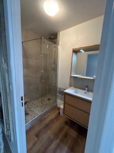 a bathroom with a shower and a sink at appartement vincennes avec balcon in Vincennes +2 photos