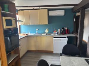 a small kitchen with white appliances and blue walls at Appart familial in Kogenheim