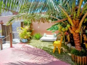 a garden with a palm tree and a bench at Rancho Magic in Cabo Frio