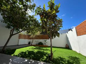 a garden with a small tree in a yard at MG elounda apt in Elounda