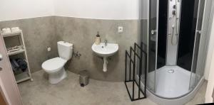 a bathroom with a shower and a toilet and a sink at Gästehaus JaWo in Neuruppersdorf +24 photos