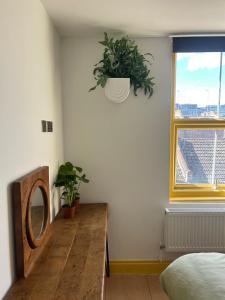 a bedroom with a mirror and a potted plant at Sauna flat Central Brighton in Brighton & Hove +5 photos