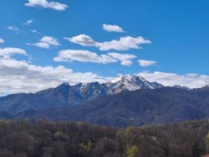 a snow covered mountain in the distance with trees at La ca' dal Tunec in Valduggia
