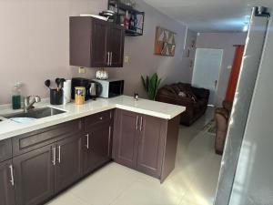 a kitchen with a sink and a microwave at Grace in Spanish Town