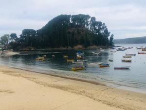 a group of boats in the water on a beach at Bahía Coliumo in Tomé