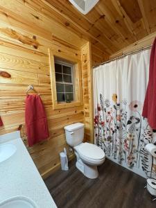 a wooden bathroom with a toilet and a shower curtain at Hedgehog Hill Cabin-Helen Hideaway in Clarkesville +34 photos