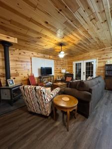 a living room with a couch and a stove at Hedgehog Hill Cabin-Helen Hideaway in Clarkesville