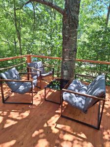 two chairs sitting on a deck next to a tree at Forest Rhapsody Brezna in Plužine