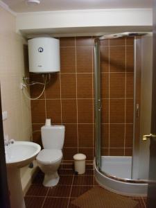 uma casa de banho com um WC, um lavatório e um chuveiro em Отель Гармония em Dnipro