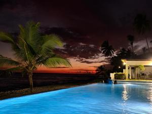 a swimming pool at night with a palm tree at Apartamento Juan Dolio in Juan Dolio
