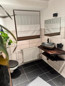 a bathroom with a sink and a toilet at Red Silence I Design Suite im Koblenz in Bendorf +31 photos
