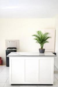 a white kitchen with a potted plant on a counter at PINK POUI Spaces Vacation Rentals in Arima