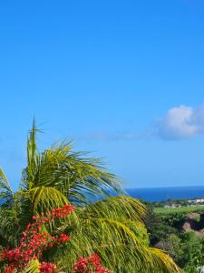 a palm tree and flowers with the ocean in the background at Orchidée in Capesterre-Belle-Eau