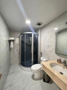 a bathroom with a shower and a toilet and a sink at The Téa Opera Hotel - Hoa Đông Aureum in Châu Cầu