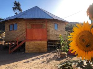 a wooden house with a sunflower in front of it at Casa La Nuez in Algarrobito