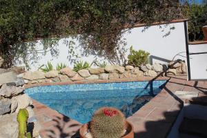 a cactus in a pot next to a swimming pool at Casa Escondida in Albuñuelas