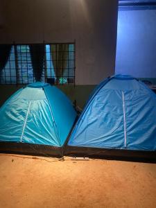 two blue tents sitting next to each other at La casa de ito la chorrera in La Chorrera