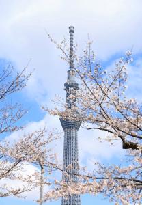 a eiffel tower in the spring with flowering trees at Uhome Fabric Hotel in Tokyo