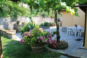Aed väljaspool majutusasutust B&B Matilde