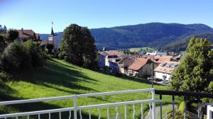 einen grünen Hügel mit Häusern und einer Stadt in der Unterkunft Big Villa in Sainte-croix in Sainte-Croix VD