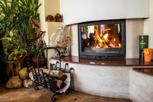 a fireplace in a living room with plants at Bariakov Family Hotel in Bansko