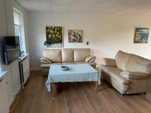 a living room with a couch and a table at Ellemose Bed and Breakfast in Lemvig