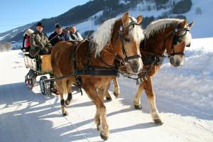 Majutusasutuse Appartement Alpenglück külastajad