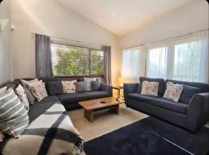 a living room with a blue couch and a table at The Black Cockatoo - Secret Garden Treetops Home in Katoomba