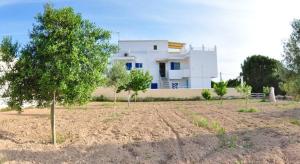 a white house with trees in front of it at Apartamentos Mayans in Sant Ferran de Ses Roques