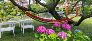 a hammock in a tree with chairs and flowers at Dulle House Jeju in Jeju