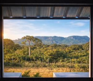a view of a tree from a window at Casa Lantana in Antsiranana