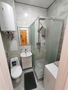 a bathroom with a shower and a toilet and a sink at АппартОтель,Софія,пл Соборна in Dnipro +10 photos