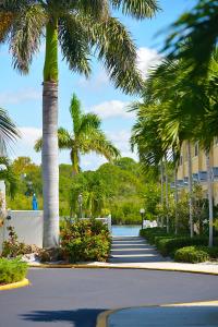 una calle con palmeras y una carretera con un edificio en Barefoot Beach Resort en Clearwater Beach