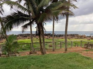 a group of palm trees next to the ocean at Dragon beach in Dondra West