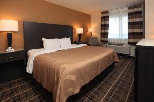a hotel room with a large bed and a window at Quality Inn DFW Airport North in Irving +33 photos