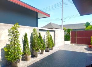 a row of potted plants next to a wall at Aonang Homie Pool villa in Ao Nang 