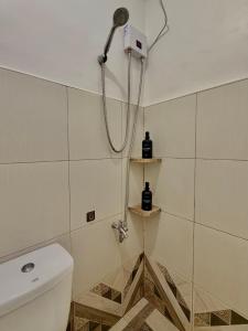 a shower in a bathroom with a toilet at Brisa Room T in El Nido Airport