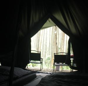 a dark room with two chairs and a tent at Lembah Pinus Cikole in Tangkubanperahu